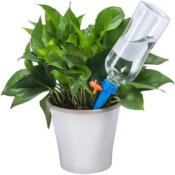 Self-watering plant spike cu furtun extensibil pentru grădină și picurator pentru flori