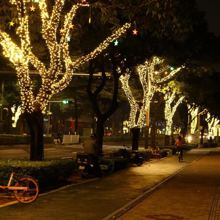 Instalatie de Craciun tip liniara alimentare 220V pentru exterior 1000 led-uri 100m - Sarbatori Iarna