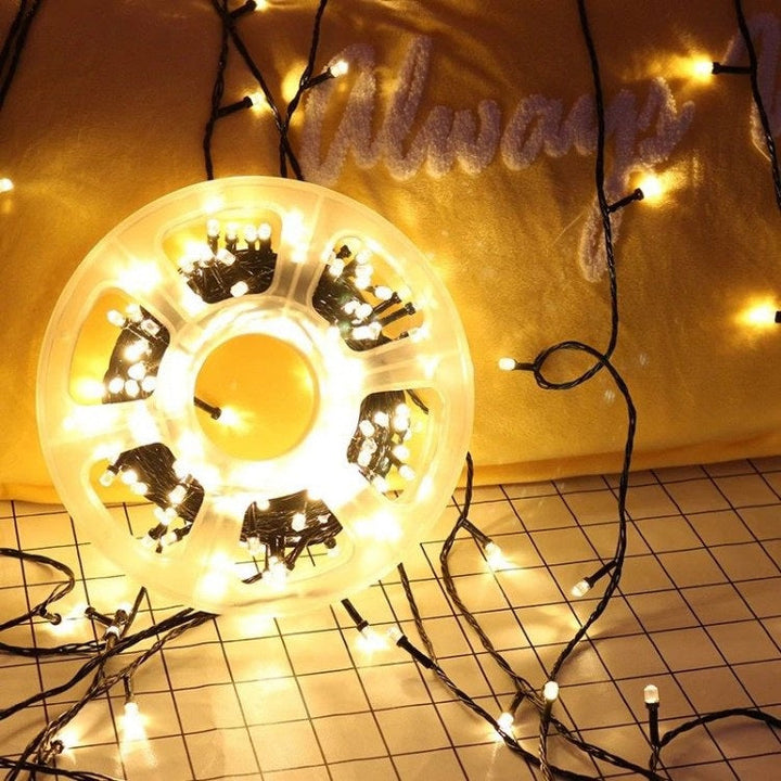 Instalatie de Craciun tip liniara alimentare 220V pentru exterior 1000 led-uri 100m - Sarbatori Iarna