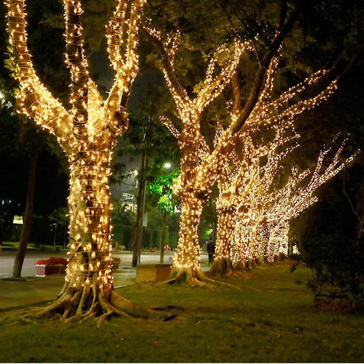 Instalatie de Craciun tip liniara alimentare 220V pentru exterior 1000 led-uri 100m - Sarbatori Iarna