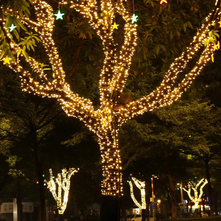 Instalatie de Craciun tip liniara alimentare 220V pentru exterior 1000 led-uri 100m - Sarbatori Iarna