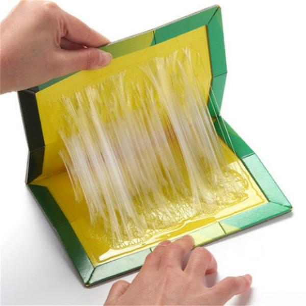 Set 5 x Capcana Tip Carte cu Lipici pentru Soareci si Sobolani Non-Toxic 22 cm x17 cm