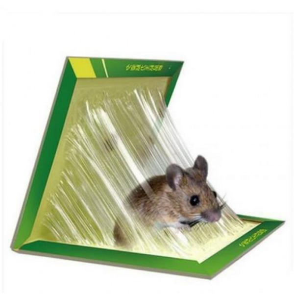 Set 3 x Capcana Tip Carte cu Lipici pentru Soareci si Sobolani Non-Toxic 22 cm x17 cm