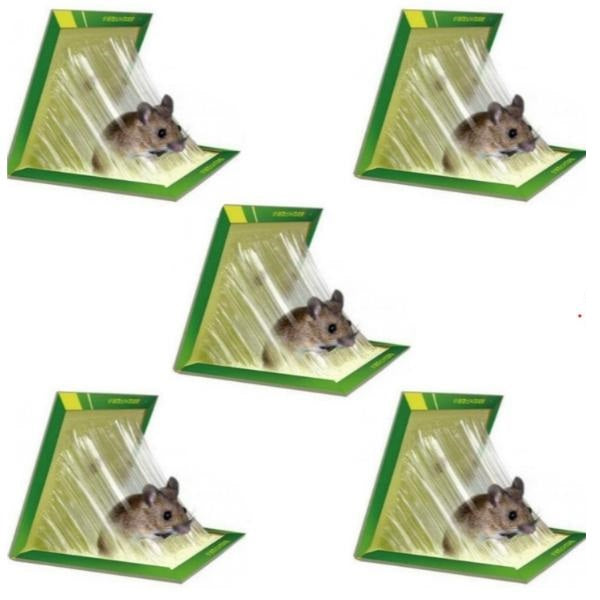 Set 5 x Capcana Tip Carte cu Lipici pentru Soareci si Sobolani Non-Toxic 22 cm x17 cm