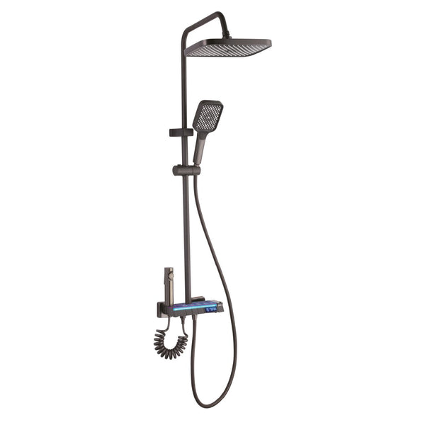 Set dus cu Afisaj Digital Freddo SN-5024NG 4 Setari Dus Pulverizator dus Detasabil Efect de Ploaie Metal-Zinc Gri