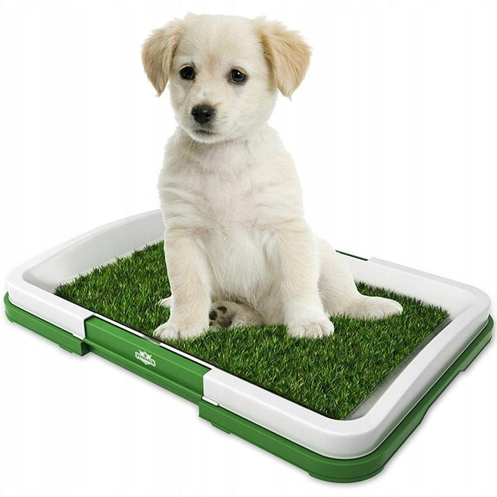 Toaleta Tip Litiera cu Iarba Artificiala pentru Animale 47 x 34 cm - Articole Animale